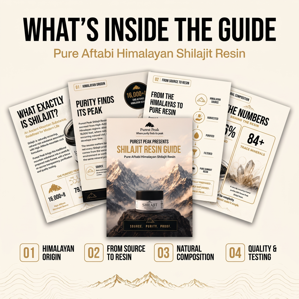 Premium Guides for Wellness