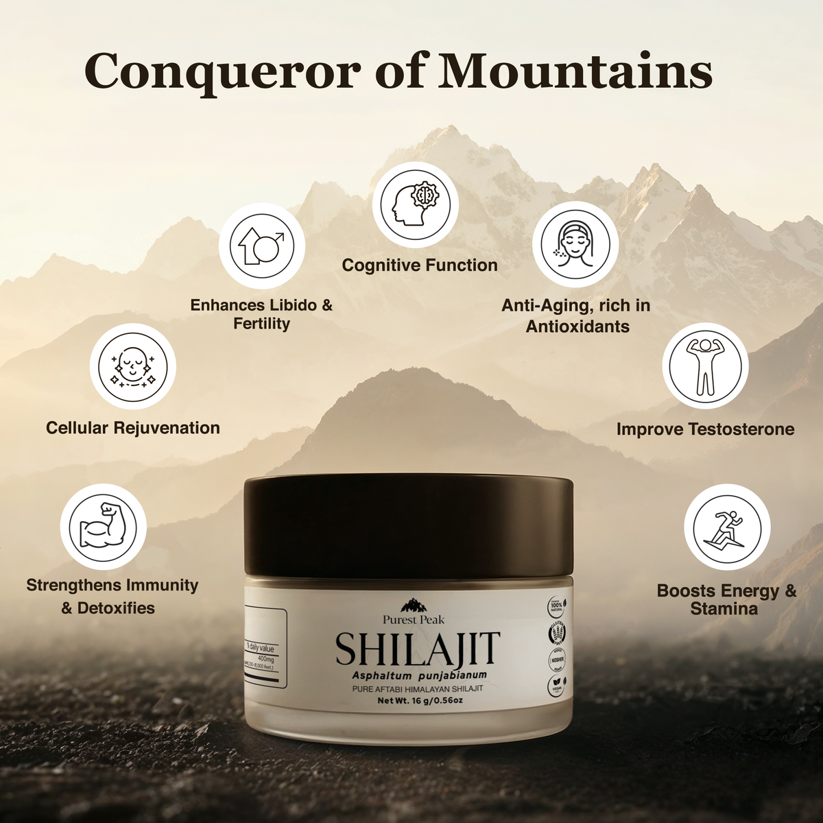 Purest Peak Shilajit Resin